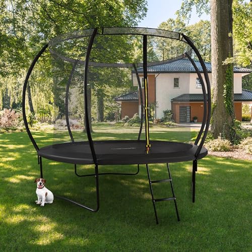 HyperMotion-Trampoline-Exterieur-Enfant-3-avec-echelle-et-Filet-interieur-pour-la-Maison-et-Le-Jardin-equipement-daire-de-Jeux-Trampoline-pour-Enfants-Double-Pieds-305-cm-10FT-0-1